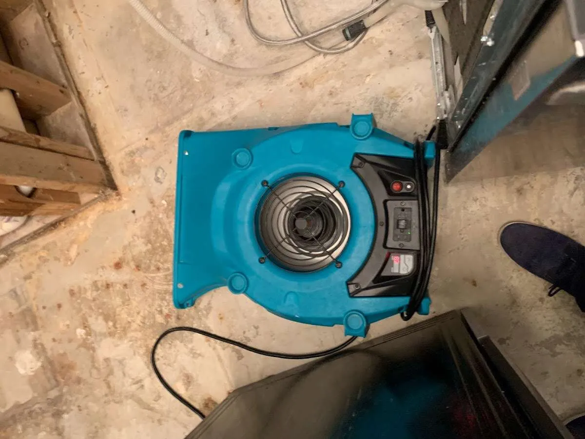 Air mover drying equipment for Mold Remediation & Removal in Ross